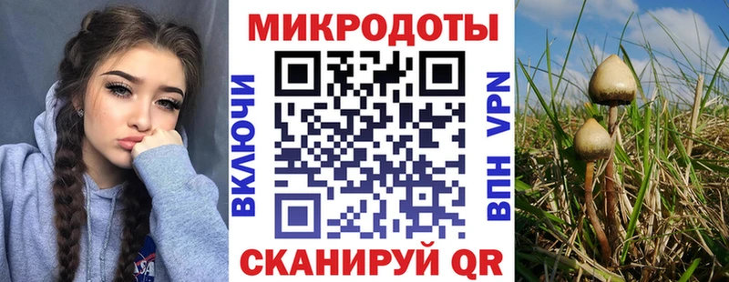 Псилоцибиновые грибы мухоморы  Алапаевск 